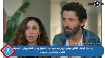 رسميًا توقف إنتاج فيلم كريم محمود عبد العزيز ودينا الشربيني.. أسباب القرار وتفاصيل جديدة